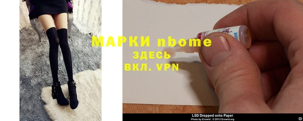 стафф Новодвинск