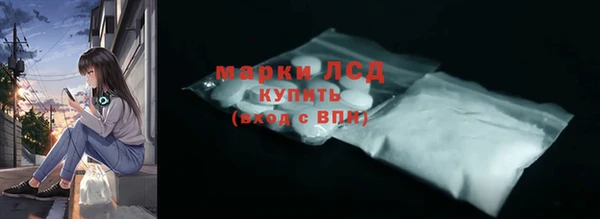 стафф Новодвинск