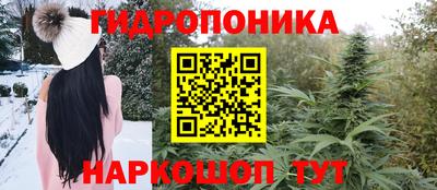 шишки Апрелевка