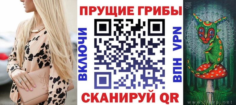 магазин продажи наркотиков  Бийск  Псилоцибиновые грибы мицелий 