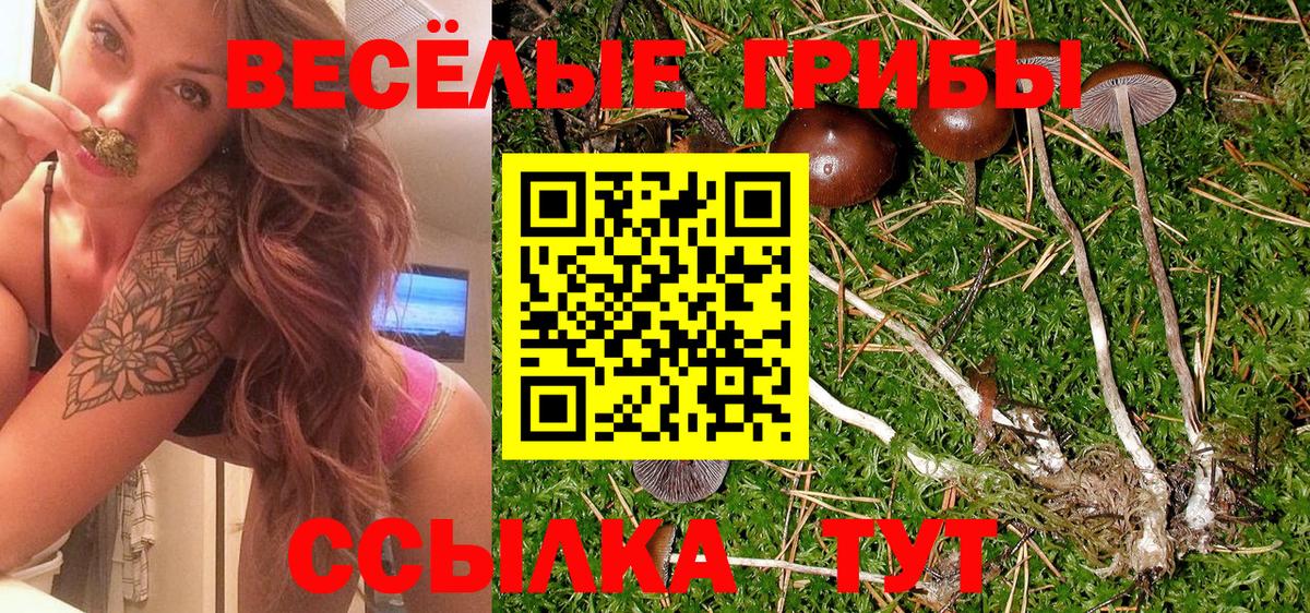 Псилоцибиновые грибы Magic Shrooms Бийск