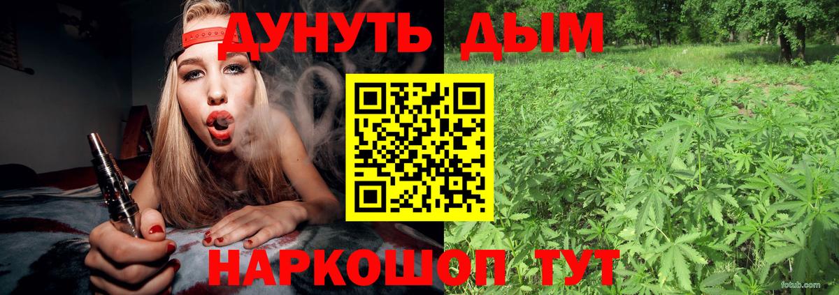 Бийск  Бошки Шишки тримм  Вход с VPN  Бошки Шишки VHQ 