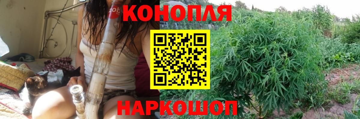 Бошки Шишки SATIVA & INDICA  Канабис планчик  Бийск  МАРИХУАНА конопля 